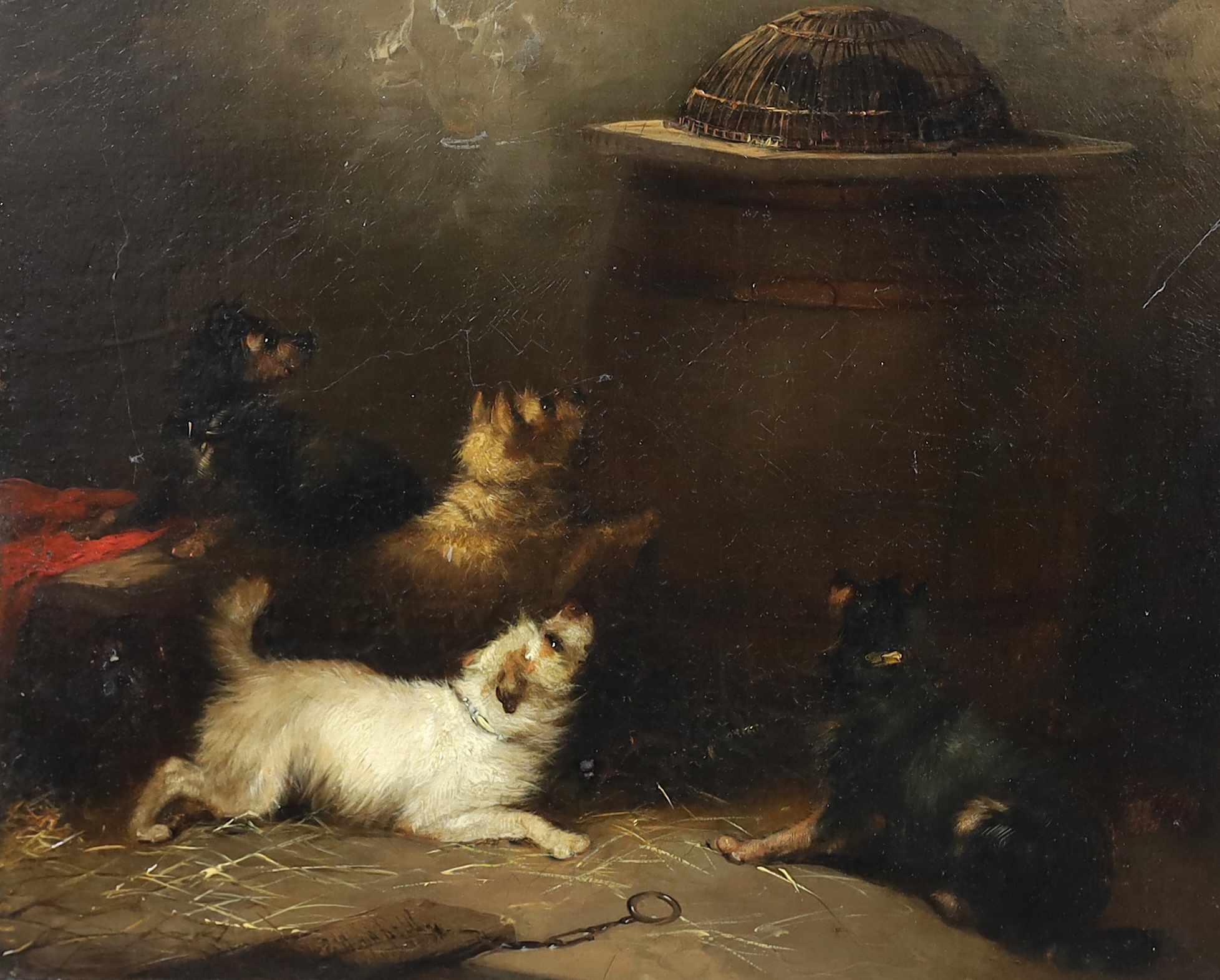 George Armfield (British, 1810-1893), Terriers in a barn surrounding a trapped rat, oil on canvas, 25 x 30cm